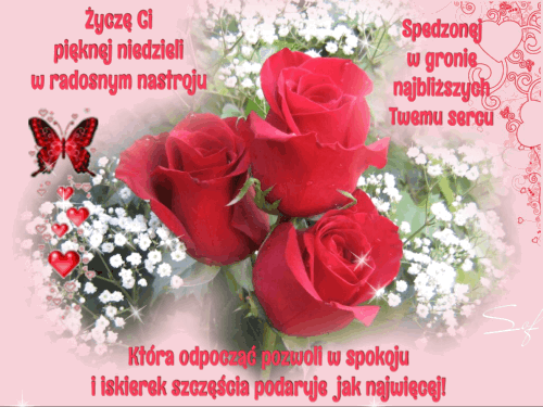 Życzę ci pięknej niedzieli czerwone róże